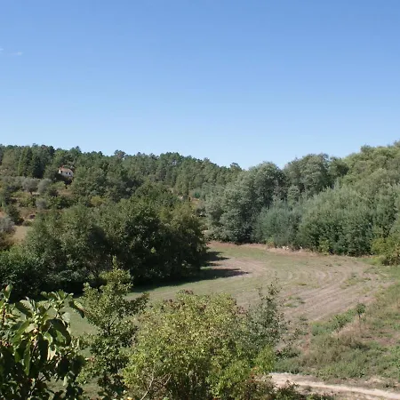 Idyllic Country With Forest Covas (Coimbra)