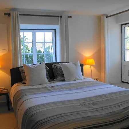 Idyllic Country With Forest