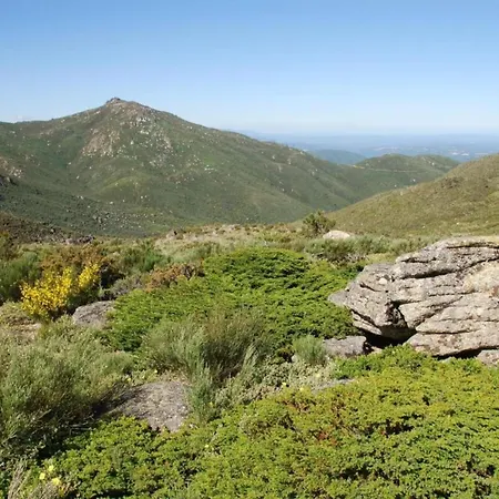 Idyllic Country With Forest Covas (Coimbra)