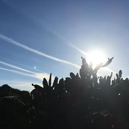 Semesterbostad Idyllic Country With Forest