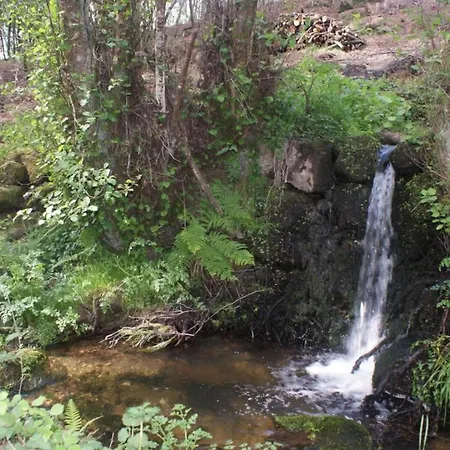 Idyllic Country With Forest Covas (Coimbra)