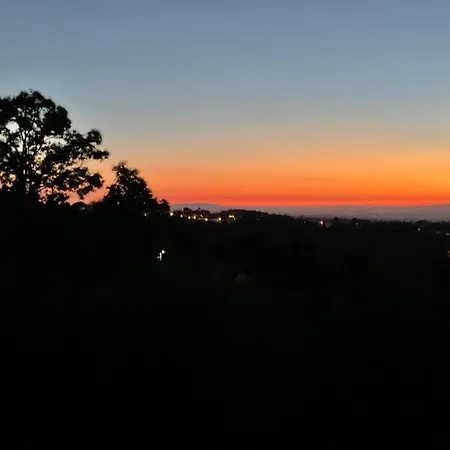 Idyllic Country With Forest