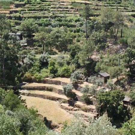 Idyllic Country With Forest Semesterbostad *