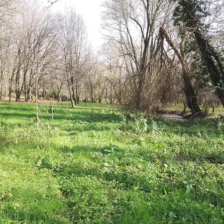 Semesterbostad Idyllic Country With Forest Covas (Coimbra)