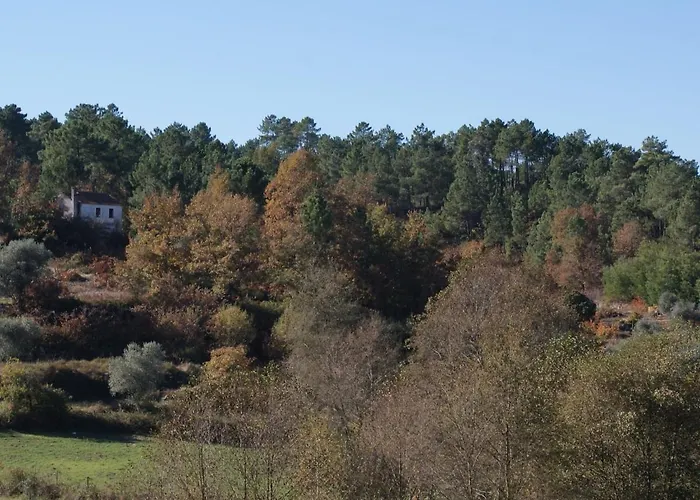 Hébergement de vacances Idyllic Country With Forest