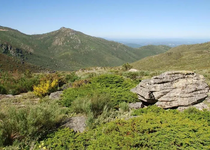 Idyllic Country With Forest Covas (Coimbra)