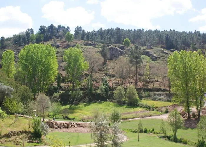 Idyllic Country With Forest