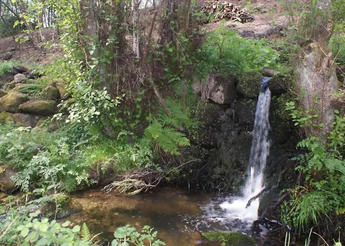 Idyllic Country With Forest Covas (Coimbra)