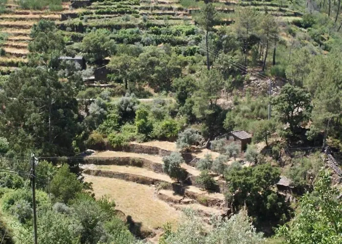 Idyllic Country With Forest Hébergement de vacances *