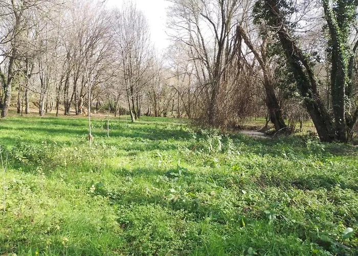 Hébergement de vacances Idyllic Country With Forest Covas (Coimbra)